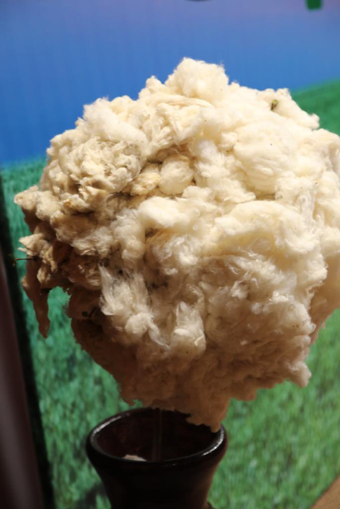 #AssisesNationalesSurLeCoton 2/2
En représentant SEM Bah N’DAW à la clôture des Assises, j’ai donné quitus à #3semaines de dialogue, qui ont vu #1000acteurs consultés dans toutes les zones concernées afin de  contribuer à la relance et renforcer la résilience de la filière.