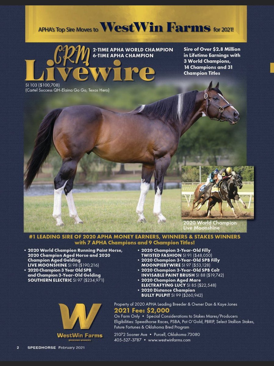WestWin is proud to announce CRM Livewire is joining the stallion roster for 2021! #CRMLivewire @AmerRacehorse @APHAnews @Speedhorsemags #PaintRacing #OKBred @4tbracing