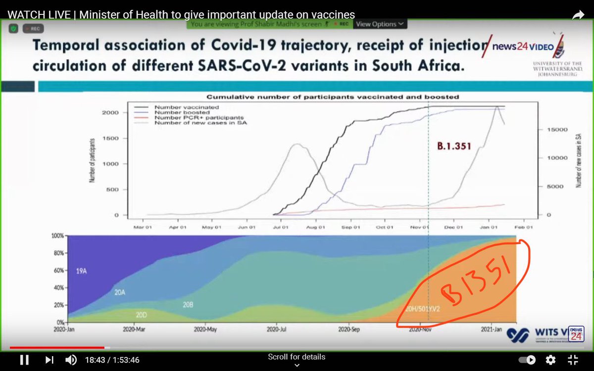 2) Notably,  #B1351 variant showed up midway through the trial and soon became the dominant strain after early November. And because it had the worrisome E484K “Eeek” mutation that could evade neutralizing antibodies, it then completely flipped the AZ vaccine results...