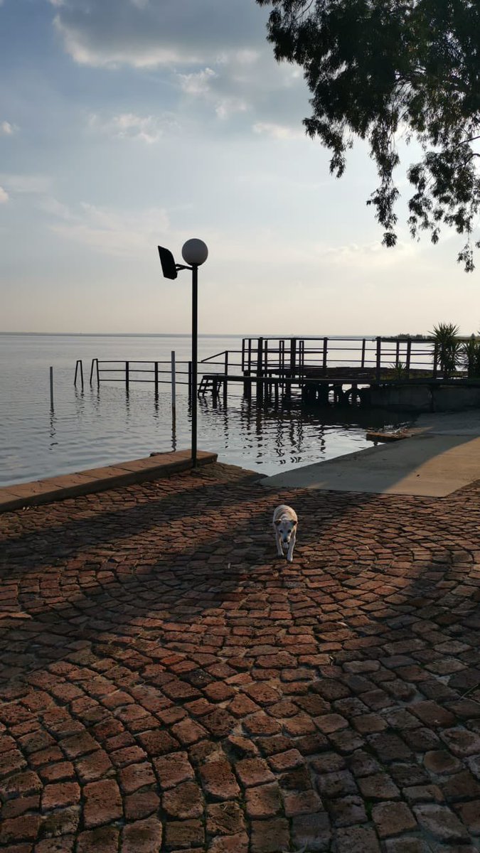 tWeatherSA's tweet image. 😍🤩💧FIRST PICTURES of the VAAL DAM at 100% FULL LATE MONDAY! Amazing recovery, considering that the dam was below 29% full just 3 months ago | 📸Lydia van der Merwe