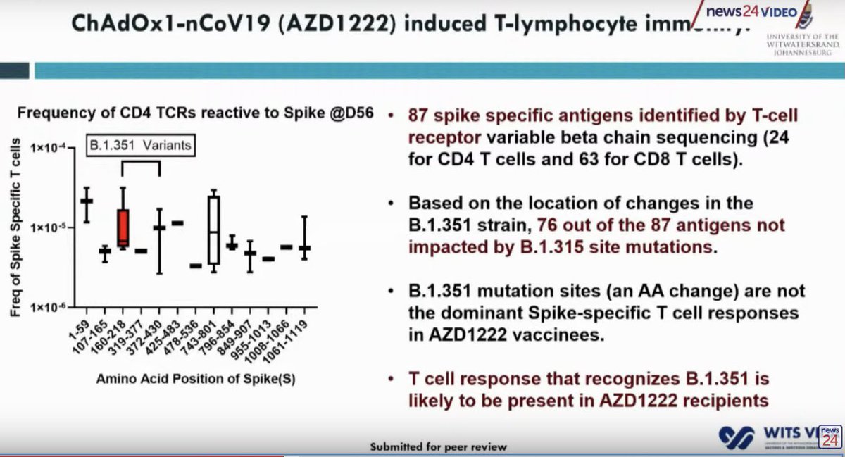 T-cells help protect against severe disease. Analysis shows 76 out of 87 T-cell binding sites (87%) are not impacted by the mutations seen in the SA B.1.315 🇿🇦 variant. This suggests that the T-cell response generated by AZ vaccine should be highly effective against SA 🇿🇦 variant