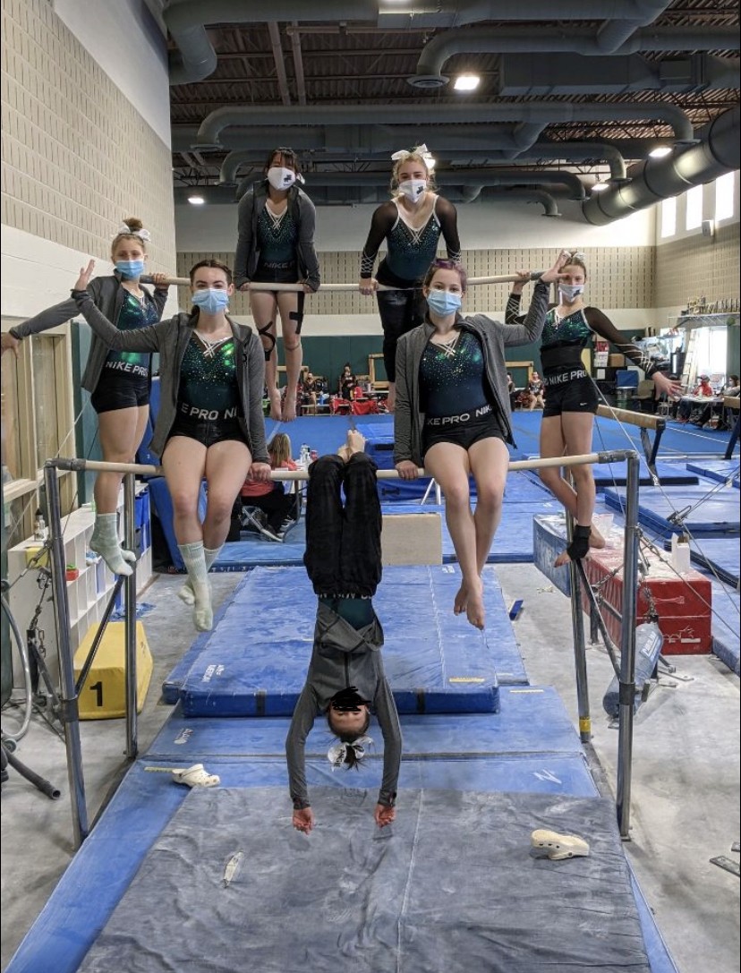 Coach Polk (@coachnvg) on Twitter photo 4 meets in and Novi has qualified for Regionals in March as a TEAM for the FIRST time ever! Way to go, Wildcats! 💚🤸♀️🤍 #novipride <a href="/BgordonBrian/">Brian Gordon</a> 4 meets in and Novi has qualified for Regionals in March as a TEAM for the FIRST time ever! Way to go, Wildcats! 💚🤸♀️🤍 #novipride <a href="/BgordonBrian/">Brian Gordon</a>
