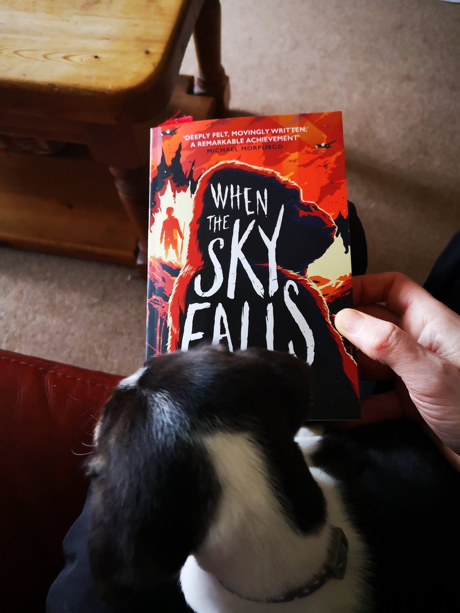 drakebookshop's tweet image. What a brilliant read, &amp;amp; a very cosy one too. A nod to #TheMachineGunners by page 21 &amp;amp; a bit of a feel of #GoodnightMrTom. Given these were 2 of my favourite books growing up I can't really give @philearle more praise than that! @AndersenPress 
#WhenTheSkyFalls is spectacular