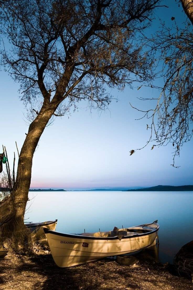 Bakiye Can (@bakiyeusta) on Twitter photo "#Özlemek, bir ömrün ağır ağır eriyişi
Karışması akıp giden zamana herşeyin
Susun anılarım susun! Beni kahretmeyin.."
#Samsunokumavakti4yasinda #samsunhikayesiniyazıyor <a href="/ziyaselcuk/">Ziya Selçuk</a> <a href="/zulkifdagli/">Doç. Dr. Zülkif Dağlı</a> <a href="/mahmutlu/">Mahmut HALAL</a> <a href="/CoskunESEN57/">Coşkun ESEN</a> <a href="/Uzunlar61551/">Uzunlar6155</a> <a href="/Canikormanokulu/">Canik Doğa ve Fen Okulu</a> <a href="/GlahDadelen6/">Gülşah Dağdelen</a> <a href="/eminecelebi6155/">Emine ÇELEBİ</a> "#Özlemek, bir ömrün ağır ağır eriyişi
Karışması akıp giden zamana herşeyin
Susun anılarım susun! Beni kahretmeyin.."
#Samsunokumavakti4yasinda #samsunhikayesiniyazıyor <a href="/ziyaselcuk/">Ziya Selçuk</a> <a href="/zulkifdagli/">Doç. Dr. Zülkif Dağlı</a> <a href="/mahmutlu/">Mahmut HALAL</a> <a href="/CoskunESEN57/">Coşkun ESEN</a> <a href="/Uzunlar61551/">Uzunlar6155</a> <a href="/Canikormanokulu/">Canik Doğa ve Fen Okulu</a> <a href="/GlahDadelen6/">Gülşah Dağdelen</a> <a href="/eminecelebi6155/">Emine ÇELEBİ</a>