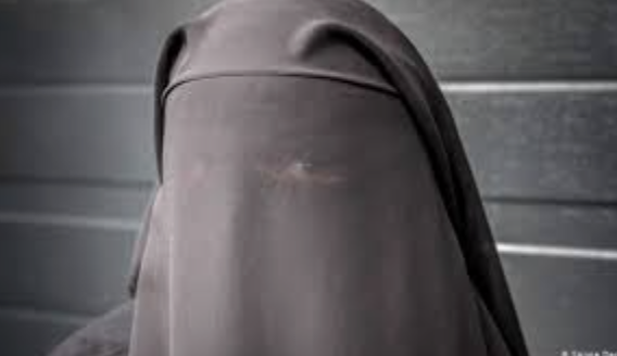 Die Burka hat in der Schweiz keine Bedeutung. Warum soll sie verboten werden, wenn nicht mal Hakenkreuze, Hitlergruss und Ku-Klux-Klan-Symbolik verboten sind? Gemäss Bundesrat sei ein Verbot dieser nicht nötig. Dabei gibt's in der Schweiz sicher mehr Nazis als Burkas. Ein Thread:
