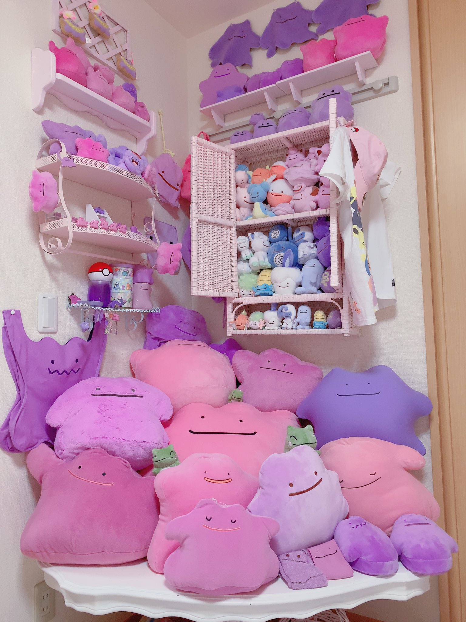 部屋に作ったメタモンコーナーがすごすぎ 沢山のメタモンが所狭しと飾られている夢の部屋がこちら 話題の画像プラス