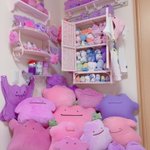 部屋に作ったメタモンコーナーがすごすぎ!沢山のメタモンが所狭しと飾られている夢の部屋がこちら!