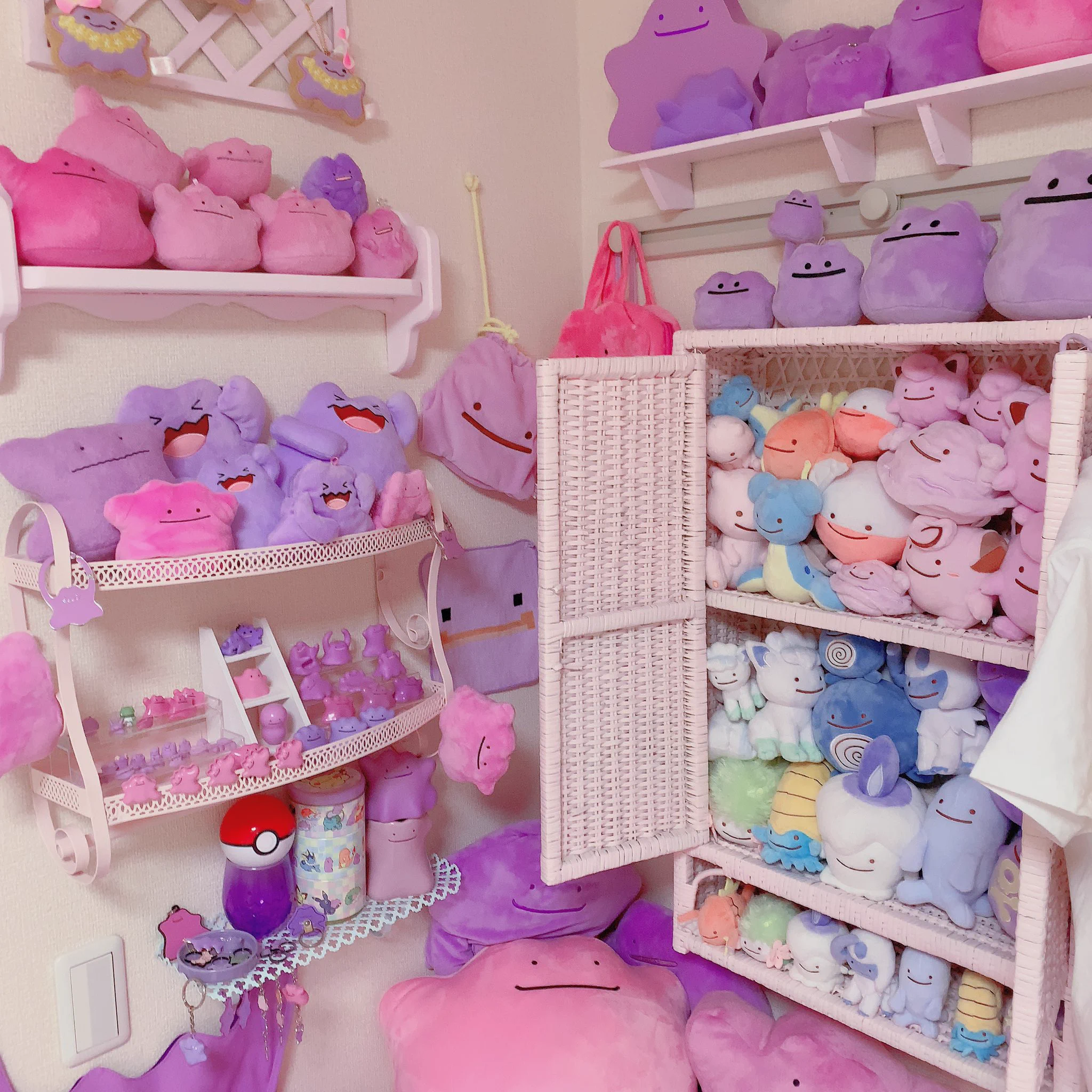 部屋に作ったメタモンコーナーがすごすぎ！沢山のメタモンが所狭しと飾られている夢の部屋がこちら！！