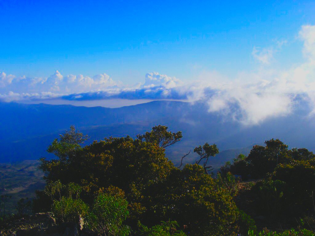 Daalo Mountain in Sanaag region of Somalia.