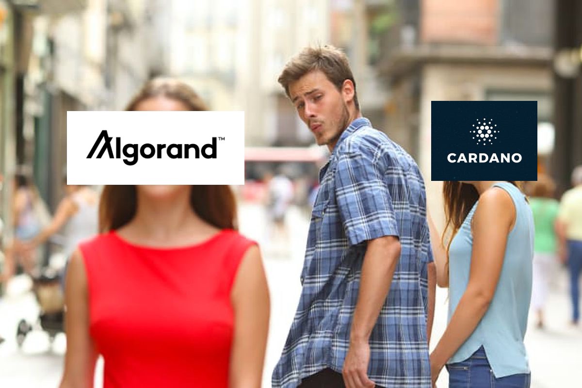 BitGoth's tweet image. ⭐️Unpopular opinion⭐️

...Am I the only one? 😅

Sometimes you just gotta follow your heart rather than the hype 🤷🏽‍♂️
$ALGO #Algorand $ADA #Cardano #cryptocurrency