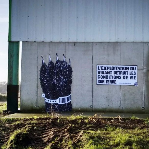 Street Art Rebellion sur les murs de la #fermeusine de Plaudren 😯😏👏

#loveplanet