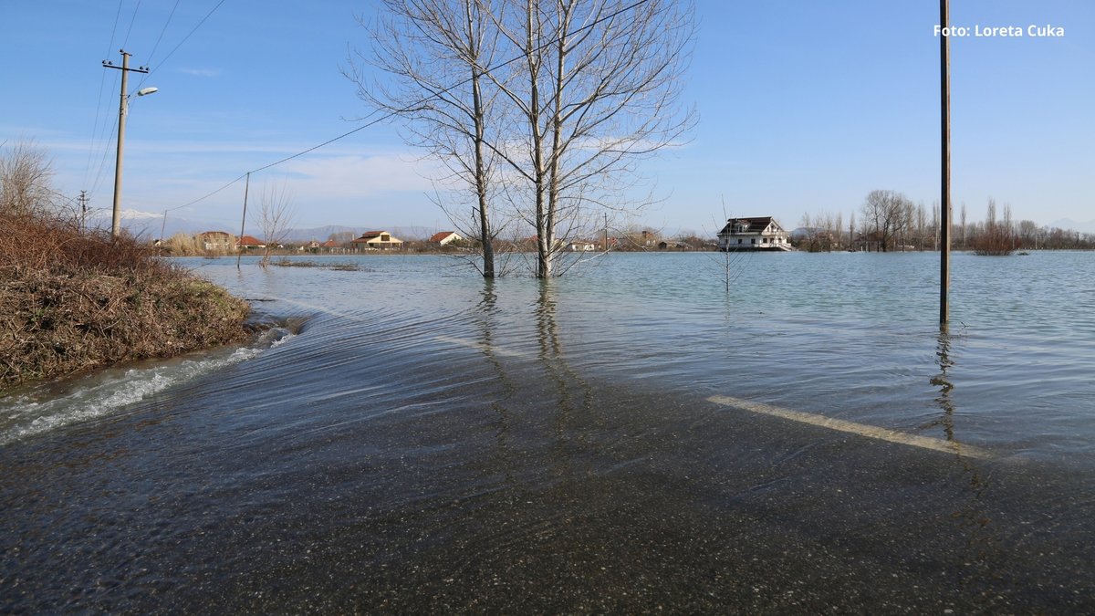 Euronews Albania tweet media