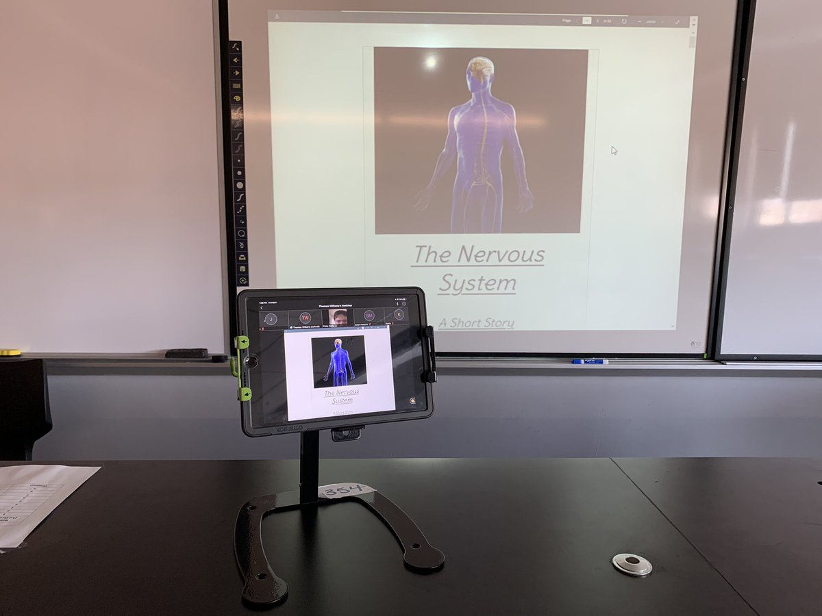 Giovan, Youssef, and Peter presenting their body systems project! 🦠🩸🧍‍♂️<a href="/mineolahs/">Mineola High School</a> #MineolaProud