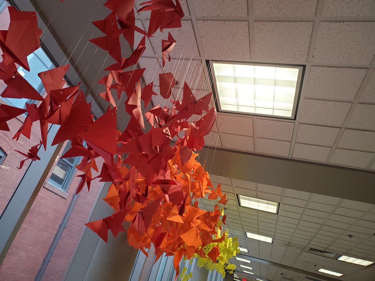 bethanykelly917's tweet photo. Origami LGBTQ+ install is also growing larger and more impressive at Central! @officialSPS @CoachBurnie https://t.co/Icy052fClJ