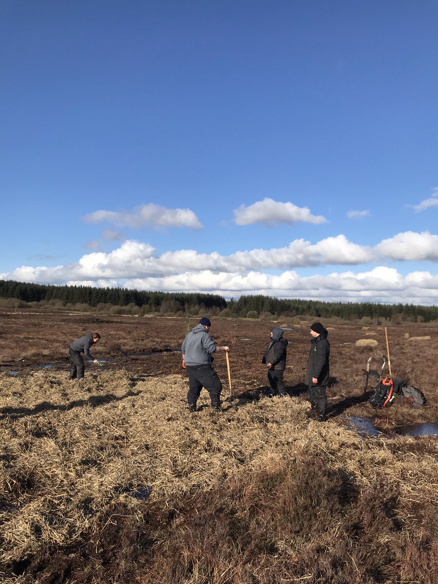 FocTrish's tweet photo. Perfect work day on Moneygal Bog Tyrone with @ulsterwildlife Euro volunteers helping @theCANNproject with some erosion control marred only by.......1/2 https://t.co/90RUYuesgs