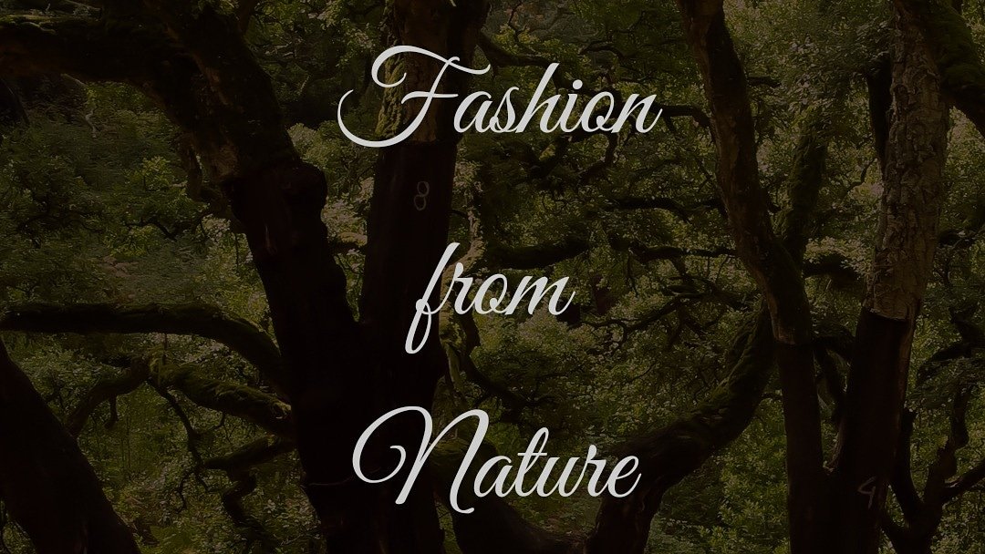 From the forests of Alentejo to your closet. Cork bags🌿
#slowfashion #forest #sustainablefashion #sustainabledesign #slowfashion#madeineurope #ethicalfashion #sustainability  #sustainableliving #vegan #veganleather #loveanimals #animallover #peta #greenfashion #greenliving