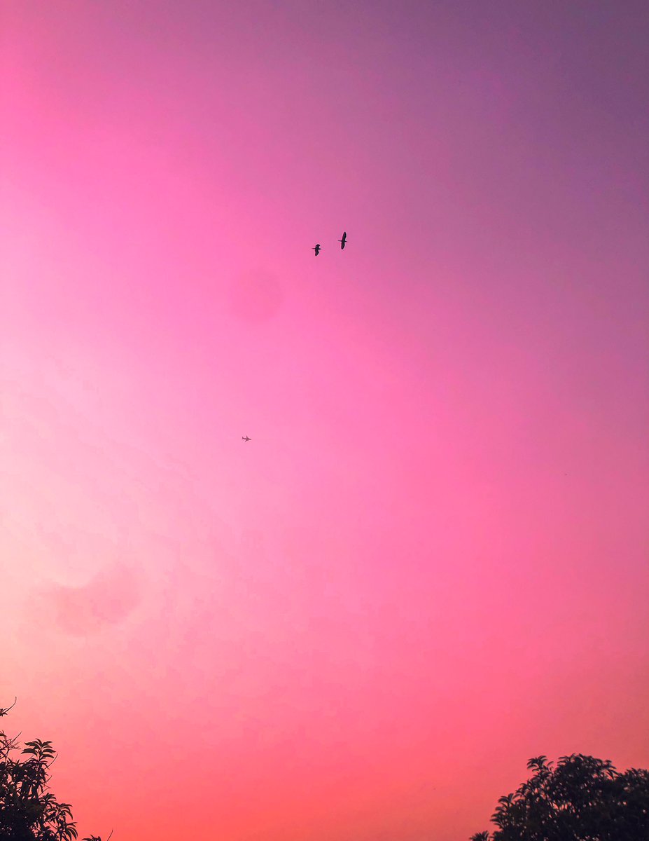 __khaleefah's tweet photo. Freedom.😎
8.2.21.
Jabi Lake, Abuja.
#photographer #phonephotography #iPhonephotography #sunset #birds #grading #lightroom #adobe #colors #artsofvisual #photooftheday #streetphotography https://t.co/nKtfPLb6m9