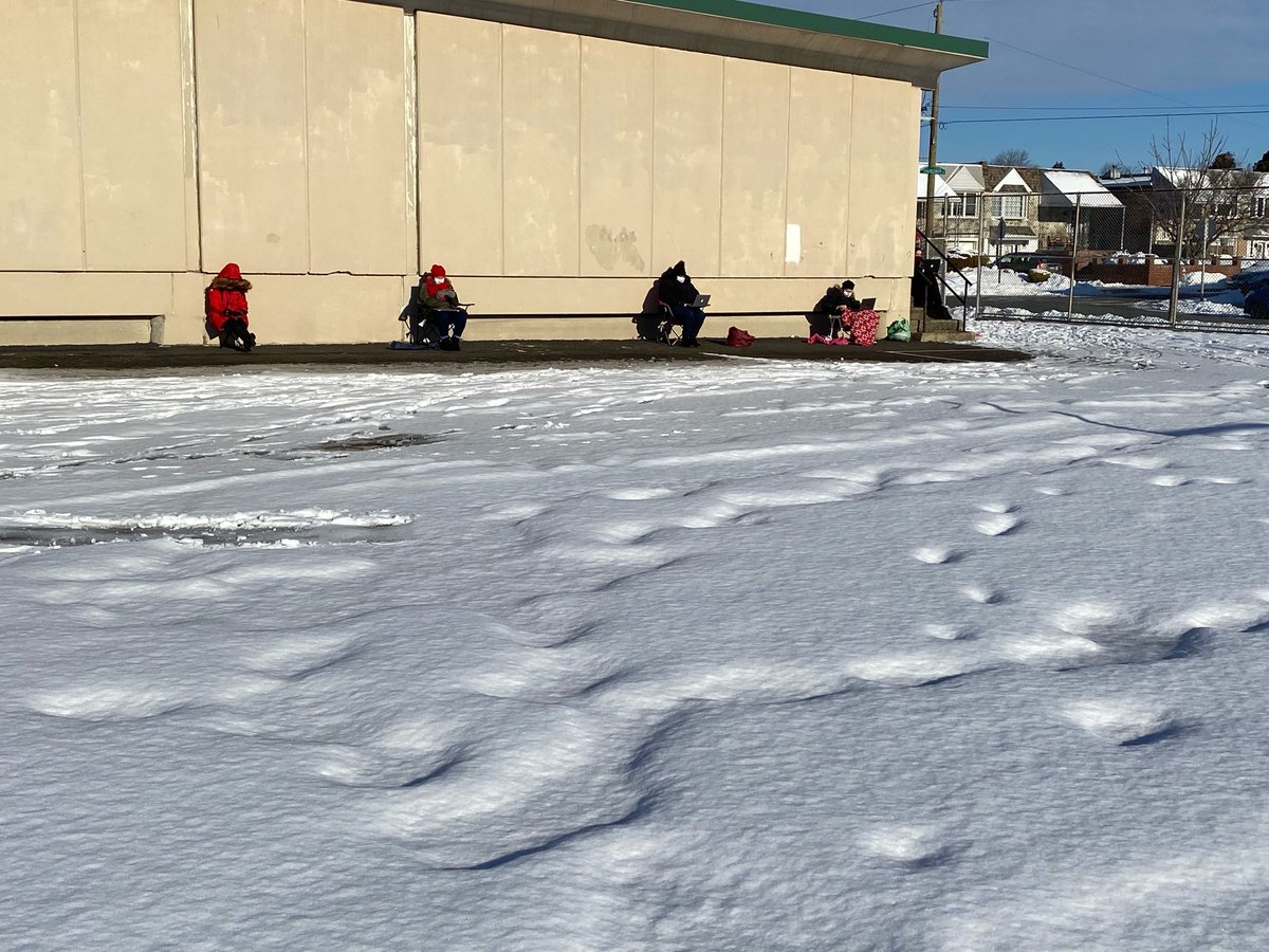 Haver_Lisa's tweet photo. Teachers teaching outside Anne Frank Elementary. #notuntilitissafe https://t.co/hvxj3MBj9G