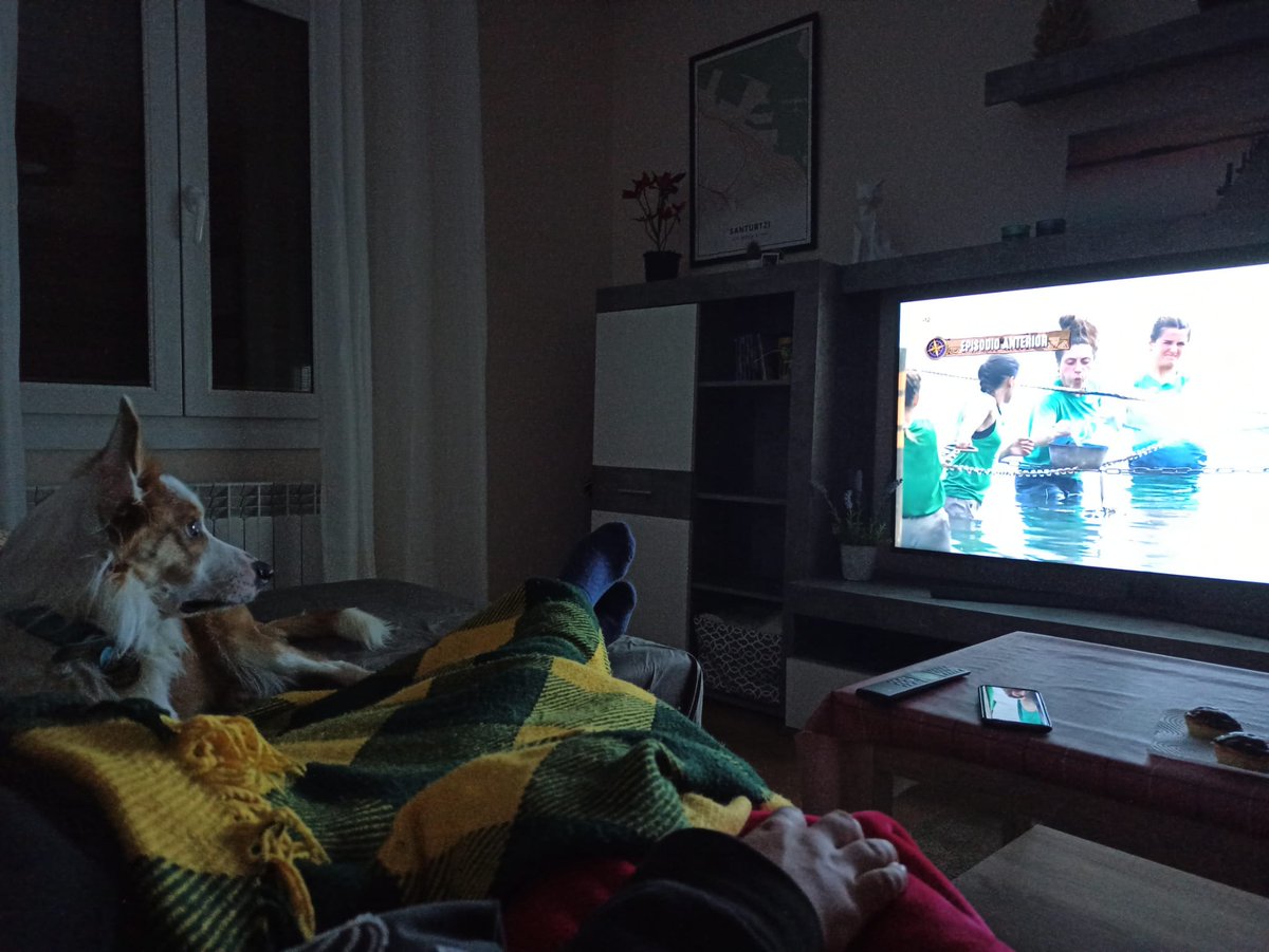 rubh90's tweet photo. Comienza lo mejor de la semana y aquí estamos preparados. Ni el perro pierde detalle #conquis4 https://t.co/6BoTpBwO1o