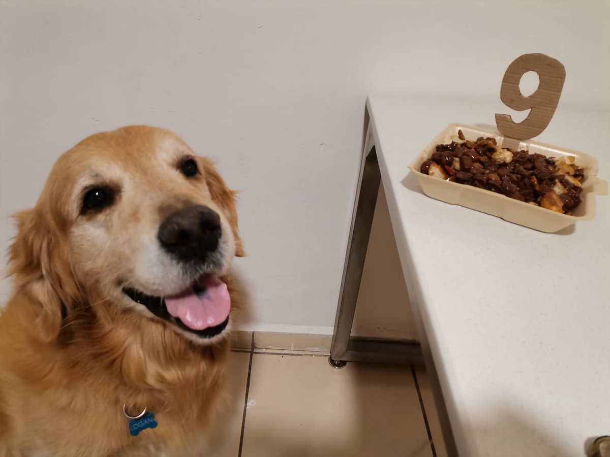 emiriv7's tweet photo. Que tengan un buen día, como logan en su cumpleaños 😍❤ https://t.co/lTTOCdbw7T