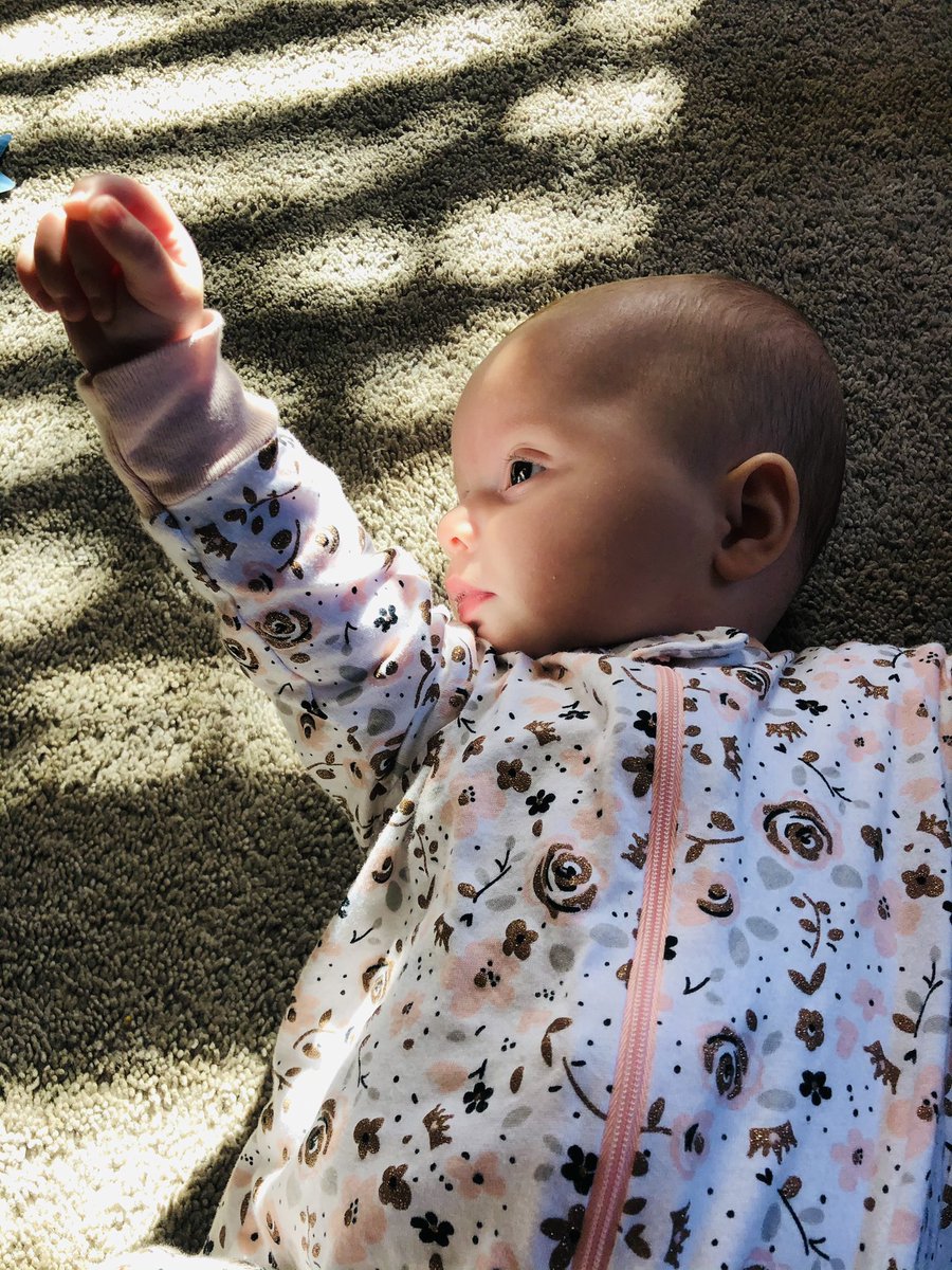 TheWisecarvers's tweet photo. #LittleMondays Cara Lou is learning &amp; experiencing so many things for the first time. See that sunshine? ☀️ When’s the last time we were amazed at the sunshine? When is the last time we stopped &amp; appreciated it’s beauty, it’s warmth? Today, let’s be thankful for the small things. https://t.co/STWwsuziG1