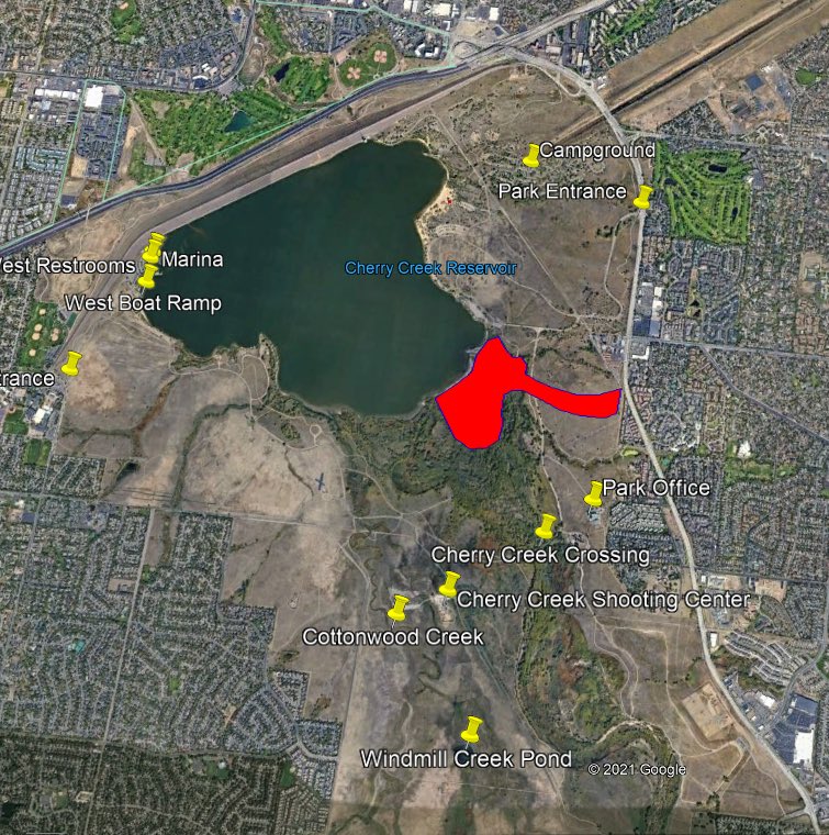 Are Dogs Allowed At Cherry Creek Reservoir