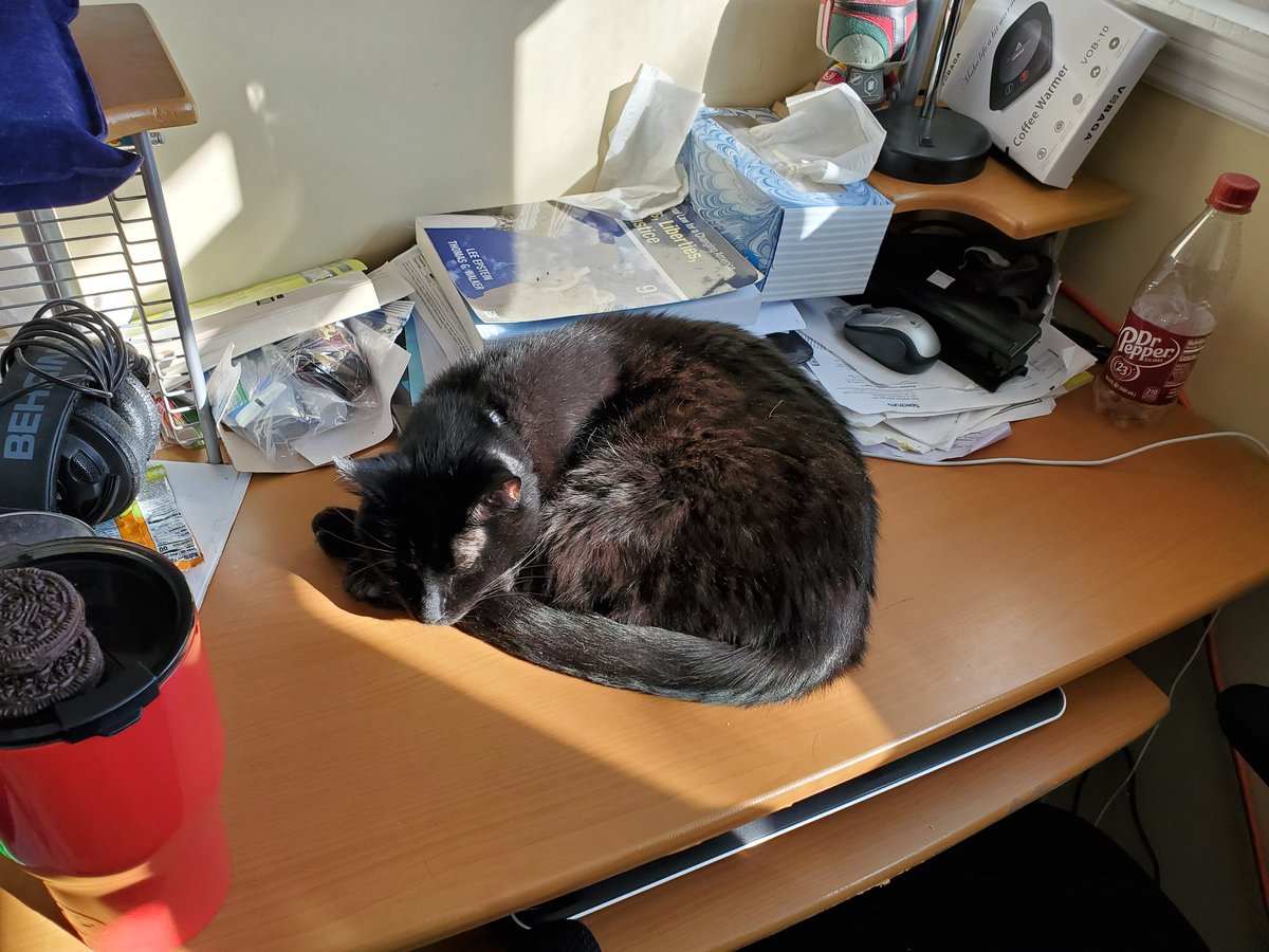 ProfTags's tweet image. This cat where my laptop goes means I can't attend my afternoon meeting, right? #KittyTA