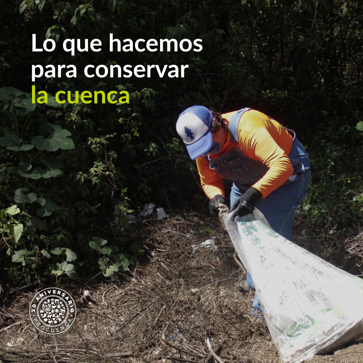 Tenemos 4 principales ejes: Bosques y suelos, desarrollo comunitario y ecotecnias, monitoreo de agua y proyectos productos. ¡Conoce todo aquí! procuenca.org/ejes-de-accion/