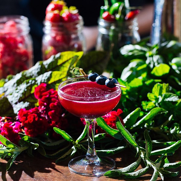 BardessonoHotel's tweet photo. Indulge in a Lucy Experience! Our restaurant is built on a delicious legacy of conscious cooking and an innate locavore point of view.
Getaway includes overnight #SpaSuite accommodations and gorgeously pre-pared gourmet meals during your stay. https://t.co/9RtbyZDQ2i #Bardessono https://t.co/muQhhRUk4x