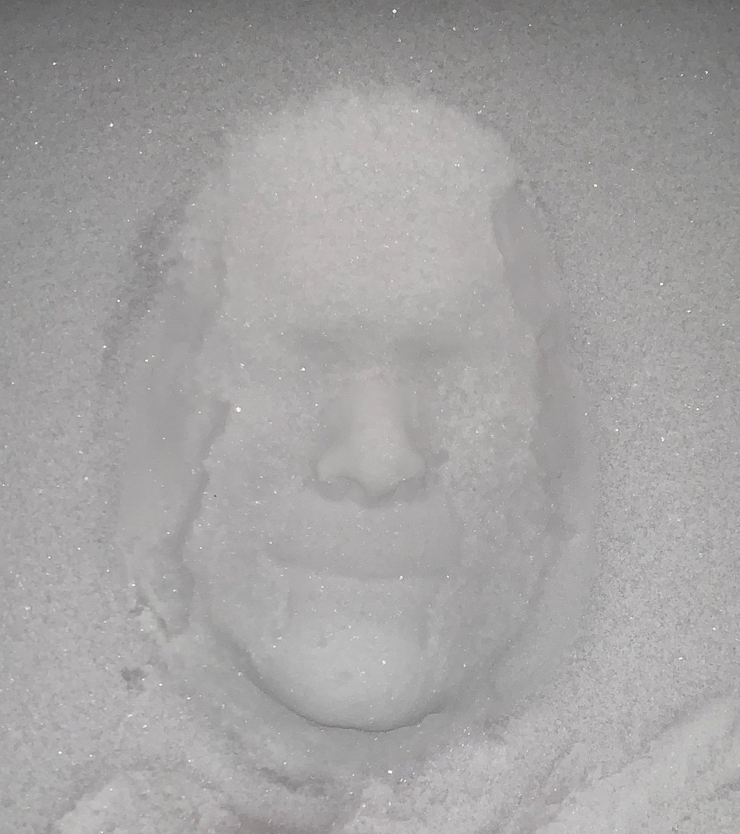 mwmoekie's tweet photo. Alsof iemand mijn hoofd vast houdt #snowfacechallenge https://t.co/ecl1xc3p06