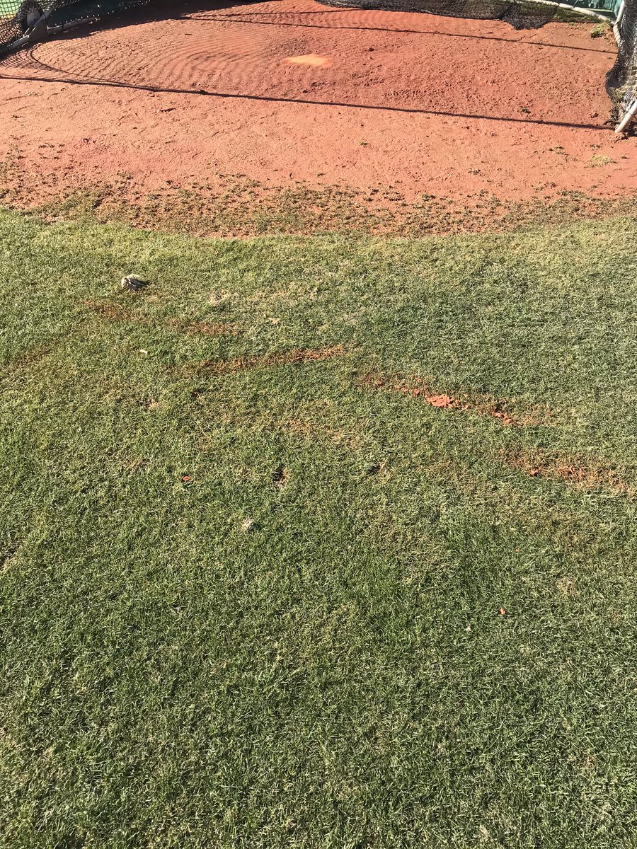 ACR Baseball tweet media