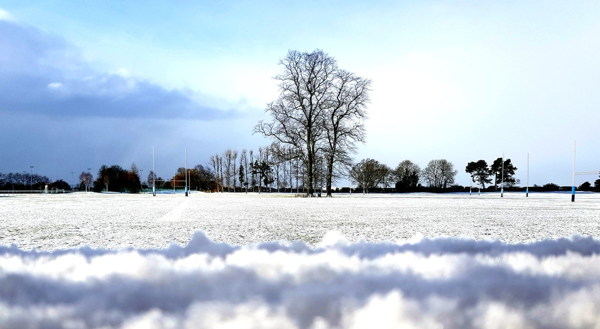 MrsBonnieSteel's tweet photo. How lovely to be in @PockPrep this morning & check on my favourite @PockSchool #Panorama ๐ฒ๐ณ๐ด #BeautifulTrees #ClassroomView #teacherlife ๐ https://t.co/6alvnmxVQs