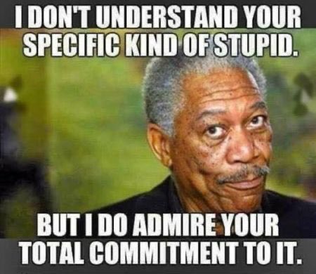 ElliottScurry's tweet photo. @Deadline_Zero @ChrisDJackson @ClayBrewsBeer @thejtlewis @POTUS @JoeBiden “Reading is fundamental.” https://t.co/zF0YJhSFPb
