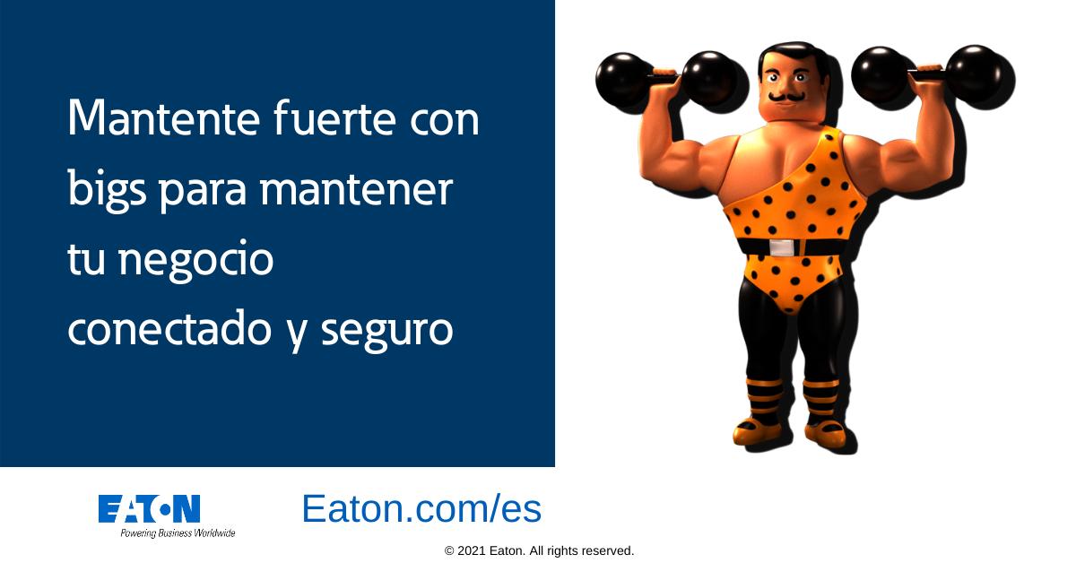 ¡Nadie se atreve a molestar a BIGS! Sus brazos de acero irrompibles protegen continuamente el suministro de #energía de las #empresas de la manera más fiable. ¡El poder ininterrumpido forma parte de su naturaleza! eaton.works/3pBETVf