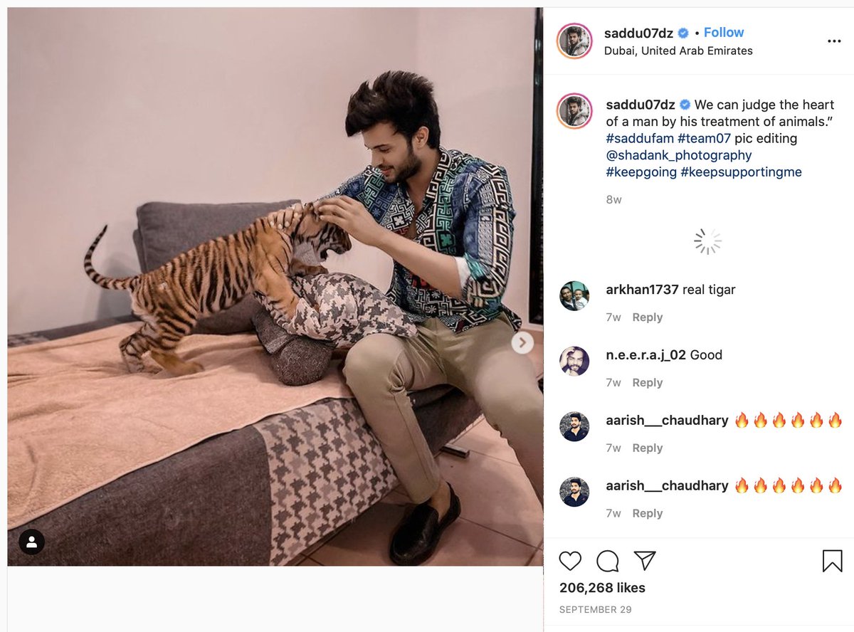 The same couch and TV appear in photos with animals posted by Indian celebrity Adnaan Shaik (13.4 million TikTok followers), German entrepreneur Saygin Yalcin (717k Instagram followers), and Indian “fashion influencer” Shadan Farooqui (4.2 million Instagram followers).