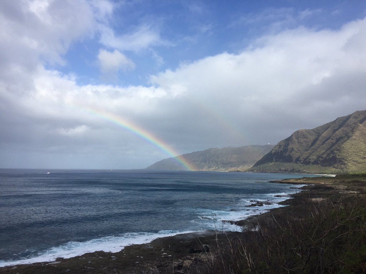 kczmj's tweet photo. Definitely no views like that today @ASTCT. This was the last TCT meeting in Hawaii-take me back. 😢#TCTAloha #TCTM21 https://t.co/I5w4ol4KaL