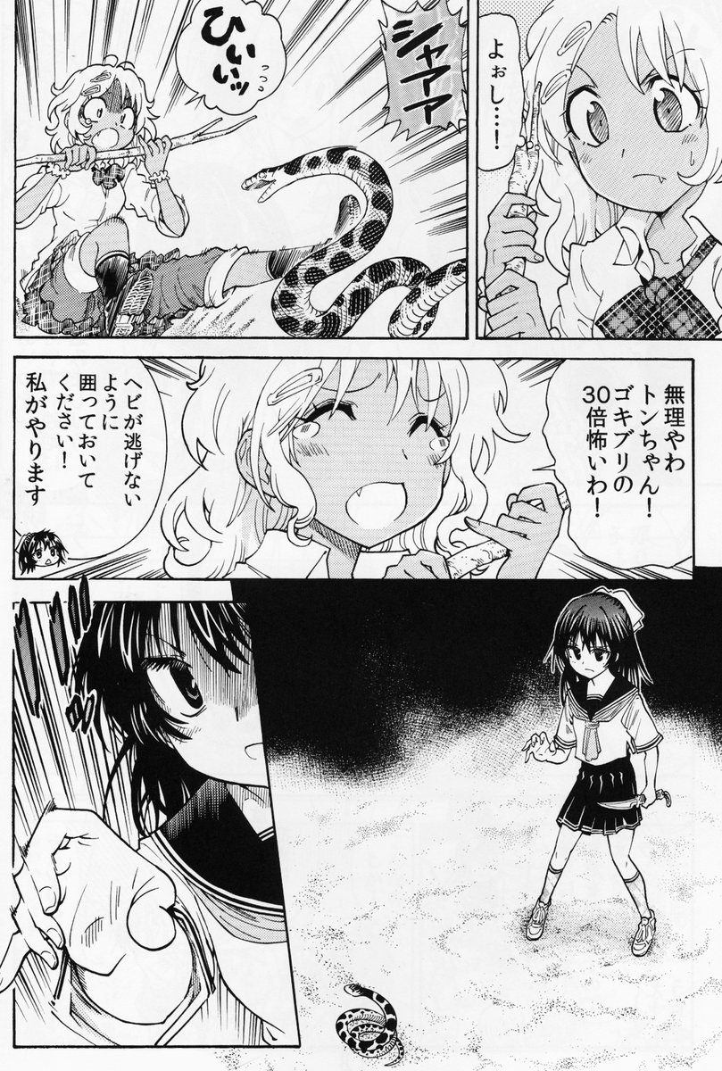 ヘビの捕獲方法
・捕まえやすいところに誘導
・無理しない
・頭を落とす
サバイバル下では貴重な食料になるが噛まれると元も子もないので注意が必要です