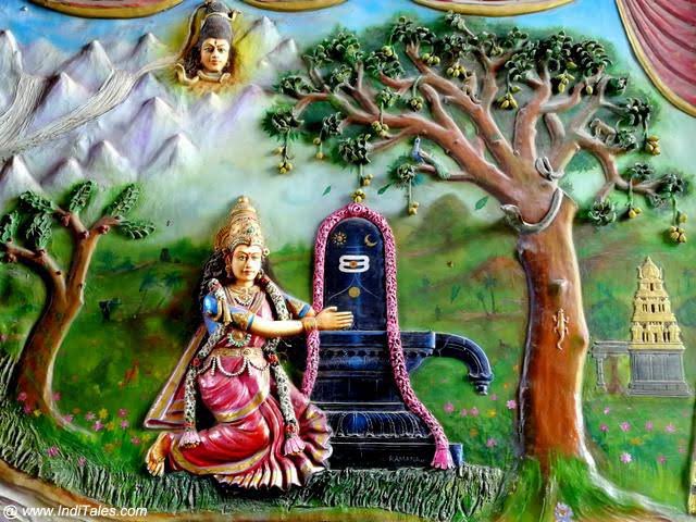 Once, he went to Kailasha and offered the fruit to Mahadev. The seed which Mahadev spat out was taken by Rishi Jambu as prasadam. A tree then sprouted out of the Rishis’s head. Shiva told the Rishi that in due course, Ma Parvati would install a shivlingam under that Jambu tree.