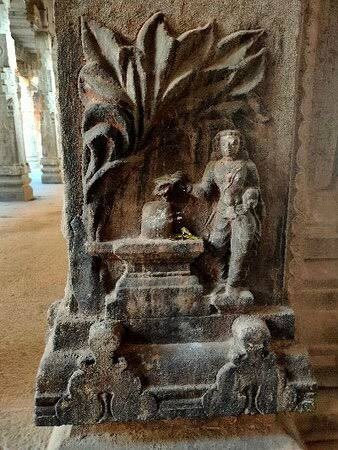 JAMBUKESWARAM : KATHAPancha bhoota sthal near Tiruchi (TN) where Mahadev is worshipped along with Devi Akhilandeswari. It represents the element of water (appulinga).It is said that a Rishi meditated under a jambu (crab apple) tree. This gave him the name Jambu.  @twttdc