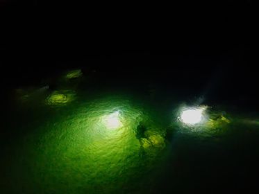 realpattayadive's tweet photo. #nightdives coming soon #Pattayadivesites #Divetorch #Nightdivebuddies #Divemaster #Instructor #Rescuediver #Advanceddiver #Openwaterdiver all welcome to join contact #RealDivers for information #Nightdiverspec #PadiThailand #Divingthailand https://t.co/6pVAtSxYPG