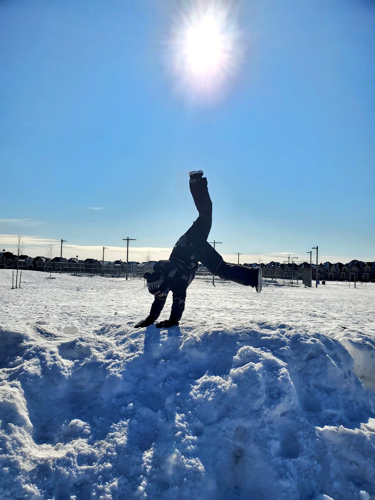 MrsHowards5s's tweet photo. We are back and feeling good! Awesome job today Grade2s and 3s! I can't wait to see what tomorrow brings 🤗 @ddwhdsb @HaltonDSB @HdsbWellness https://t.co/WMglCuRCzp