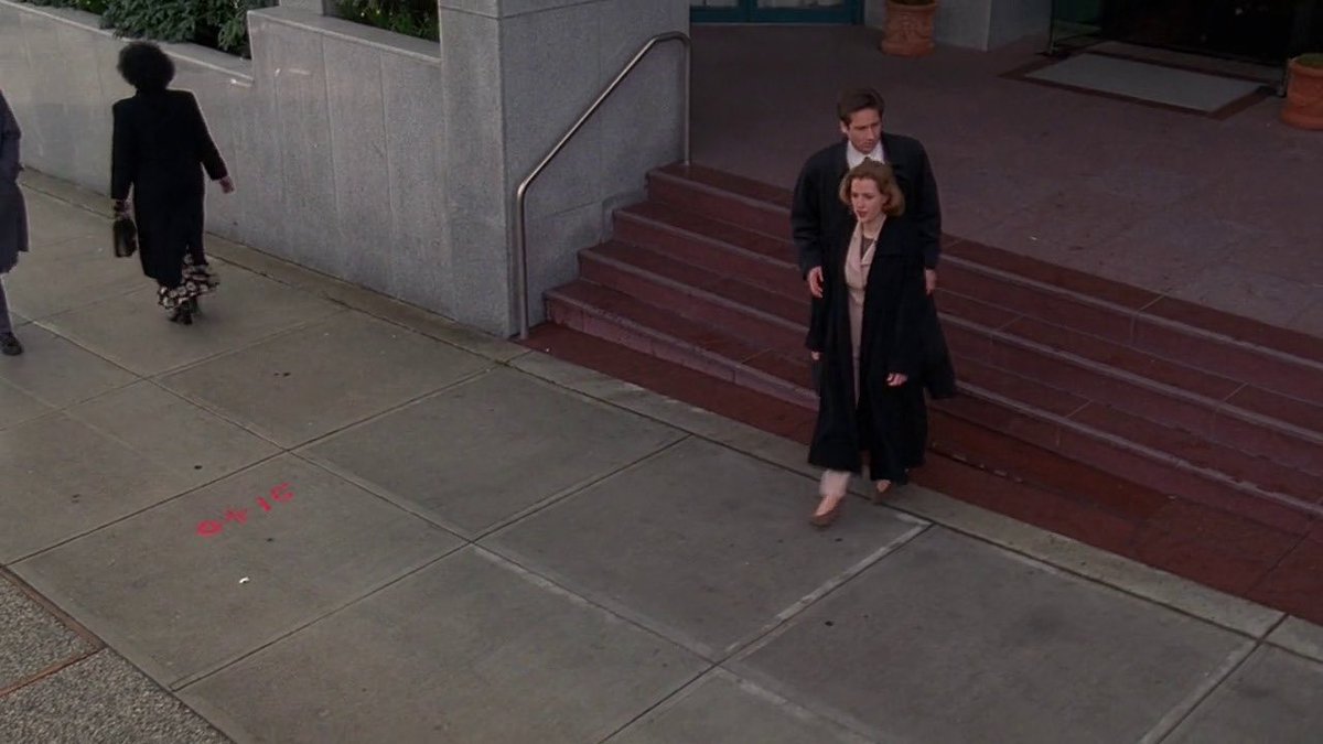 him looking at the whole meal