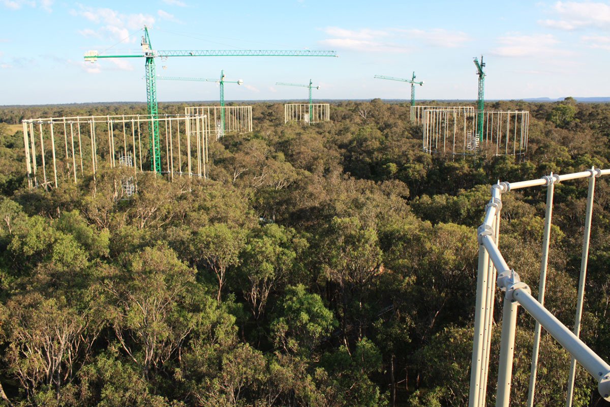 7. Stronger forest growth due to CO2 fertilisation (shaky, but a real enough effect).See e.g.: https://westernsydney.edu.au/hie/EucFACE 