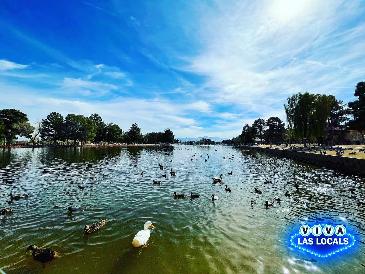 VivaLasLocals's tweet photo. Hello MONDAY! A perfect afternoon to visit Sunset Park in #LasVegas. One of our favorite @ClarkCountyNV parks. #VivaLasLocals #picnicideas https://t.co/HOETj05m1n