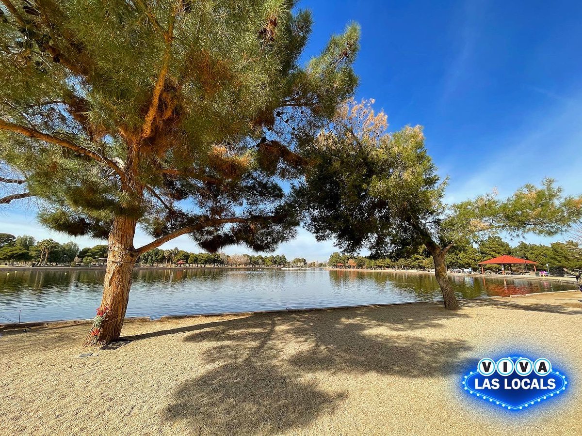 VivaLasLocals's tweet photo. Hello MONDAY! A perfect afternoon to visit Sunset Park in #LasVegas. One of our favorite @ClarkCountyNV parks. #VivaLasLocals #picnicideas https://t.co/HOETj05m1n