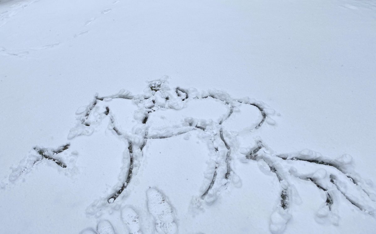 When you’re snowed in...