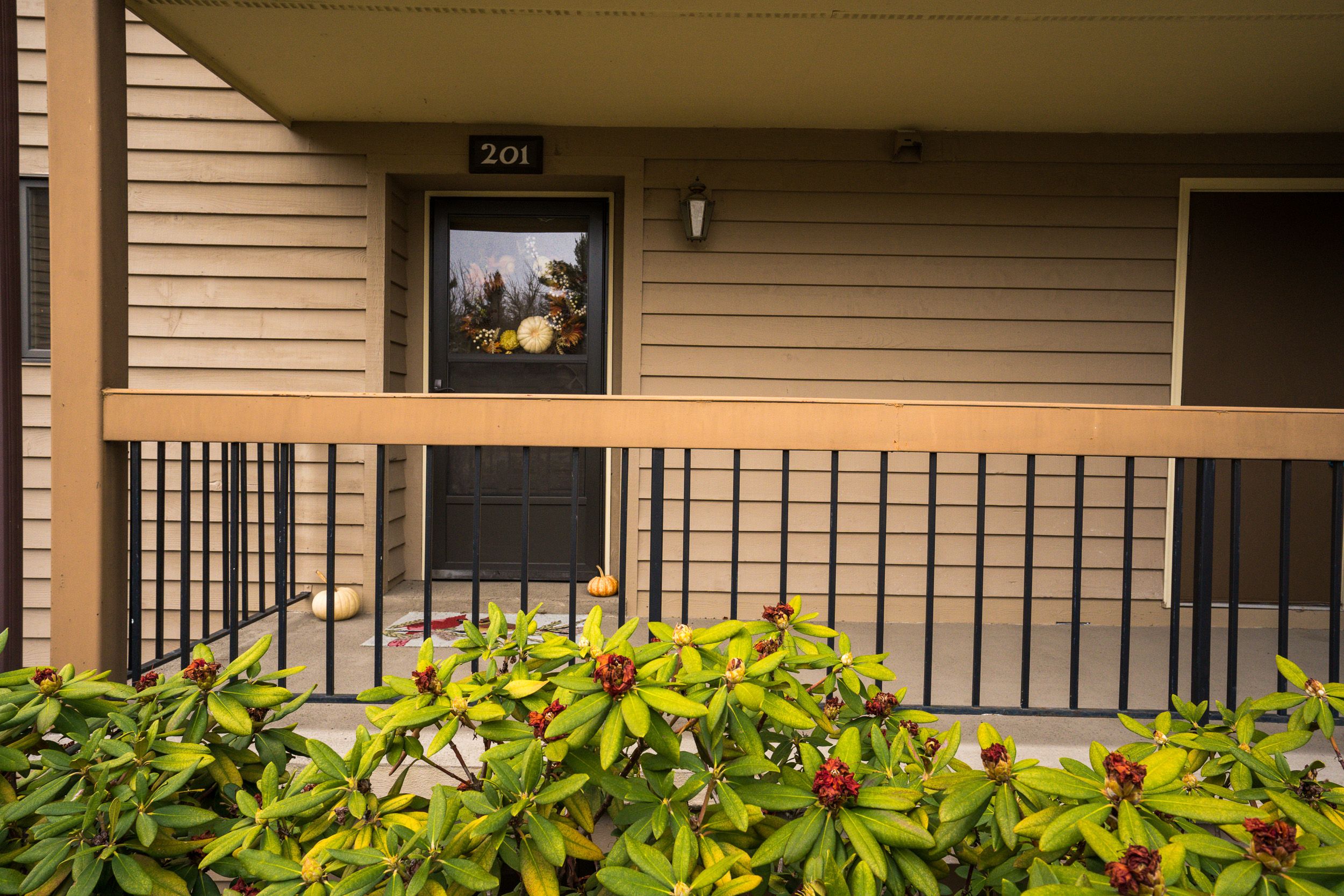 Elite Mountain Properties (EliteMountainP1) / Twitter