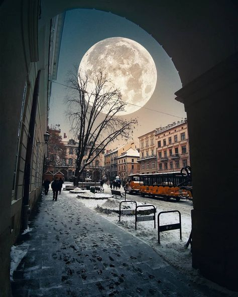 Львів’янці снився білий сніг,
Такий пухнастий і лапатий!
Летів, кружляючи, до ніг,
Такий омріяний, крилатий!