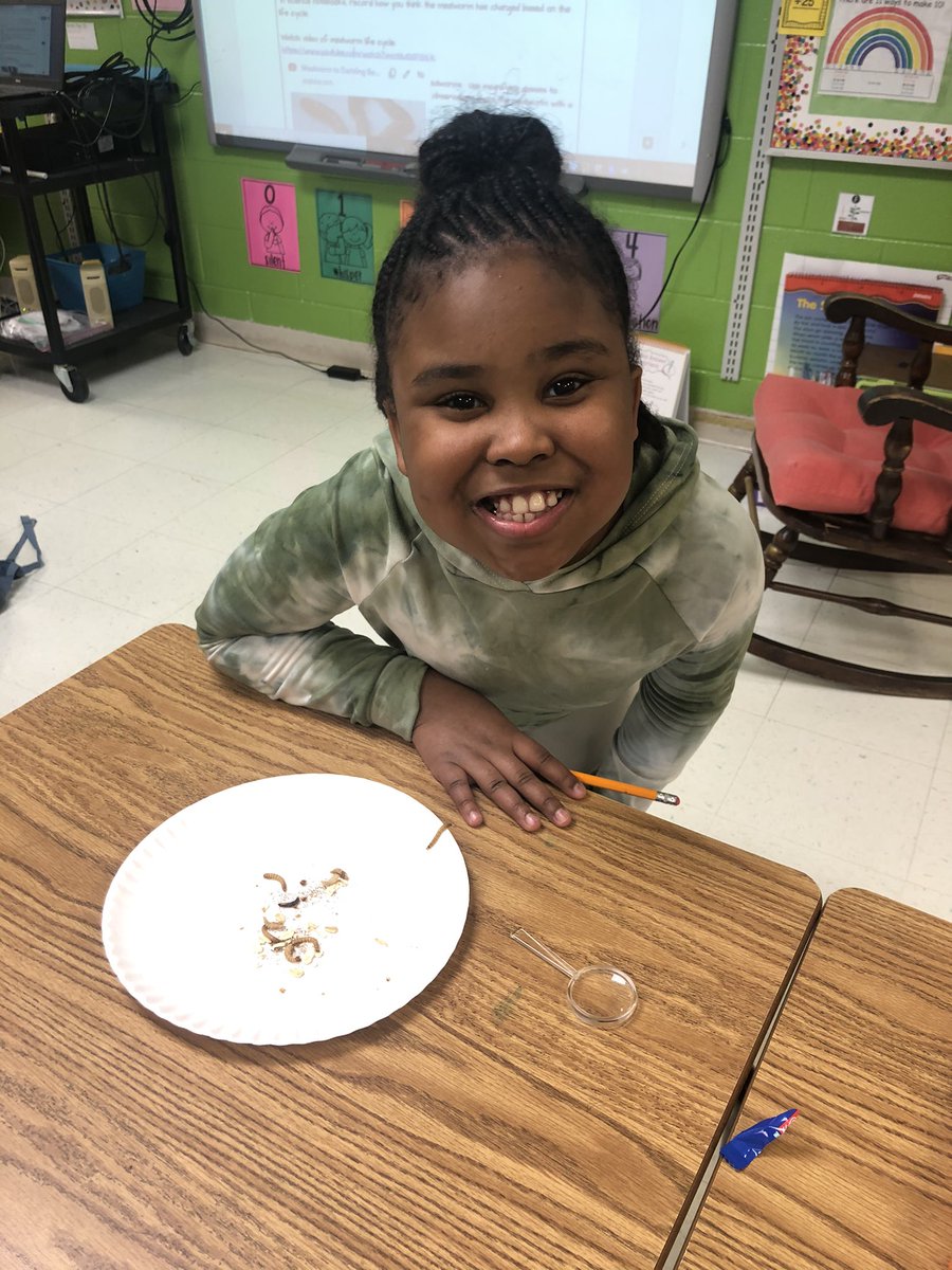 Mrs. Gordon’s second graders are continuing their investigation of life cycles as part of the science curriculum. Students participate in a hands-on experience to observe how mealworms grow and change over time. Some students are more grateful than others for that opportunity!