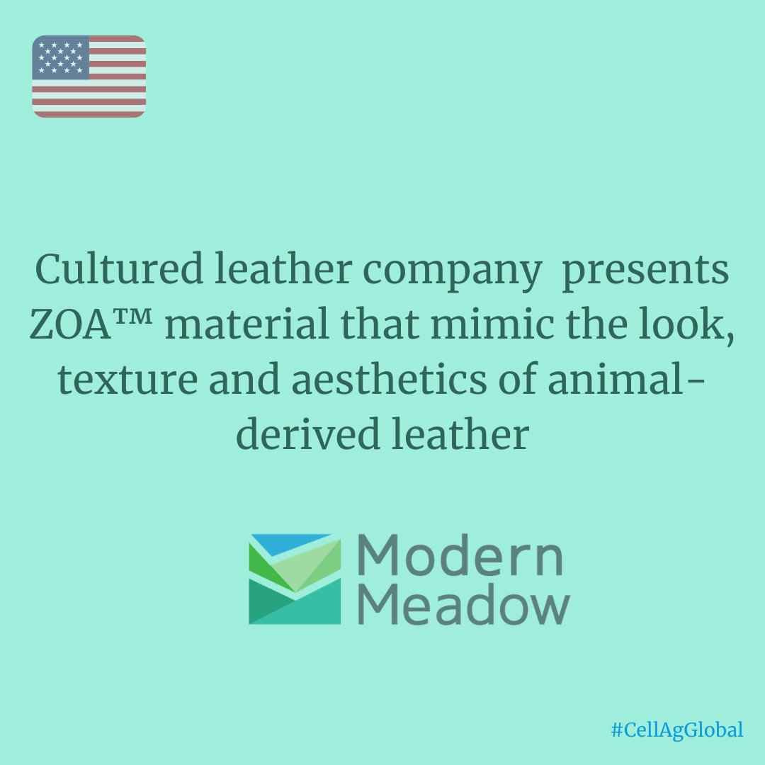 CellAgAustralia's tweet photo. Is it possible to make leather without animals 💭🐂❓
@ModernMeadow says YES ❗
Article link 👉 https://t.co/1HgiT87fUM
#CellAgGlobal #CellullarAgriculture #CellAg #fashion #leather #biofabrics #biofabrication #biotech #sustainable #biodesign #futurematerials #thisisZoa https://t.co/74wThMamgR